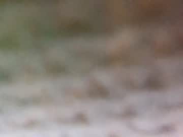 man theboyjacc image #852077