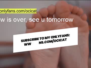 girl ocicat image #2553949