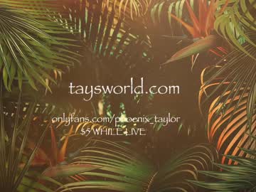 girl phoenix_taylor image #2983176