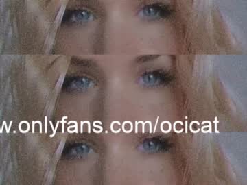 girl ocicat image #3613709