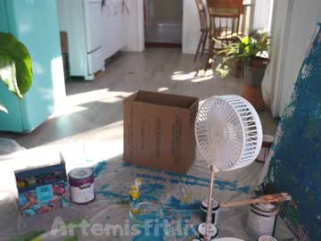 girl artemisfit image #927983