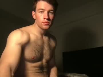man bullgrey009 image #2452357