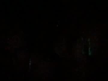 sluttysolstice