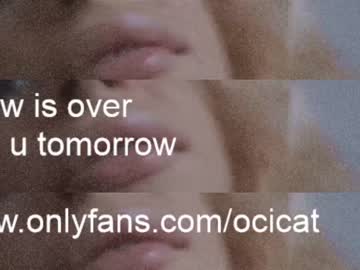 girl ocicat image #3600044