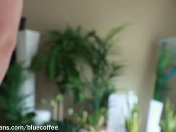 man bluecoffee image #2292983