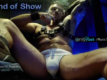 man muscle_dog image #520433