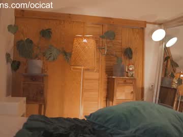 girl ocicat image #5000825