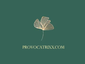 girl provocatrixx image #2523599
