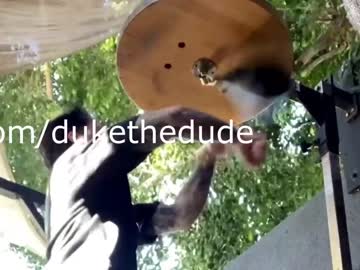 man dukethedude image #1861588