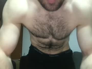 man bullgrey009 image #2631771