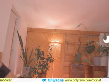 girl ocicat image #2517186