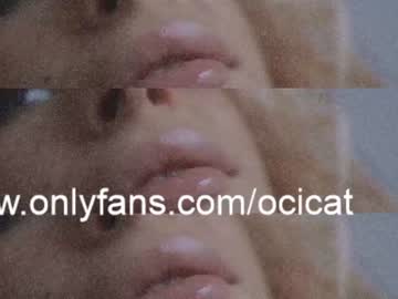 girl ocicat image #3614005