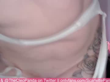 couple pandaworldcb image #295747