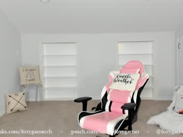 girl foxy_gamer image #600016