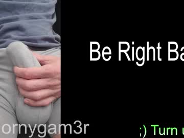 man hornygam3r image #4975882