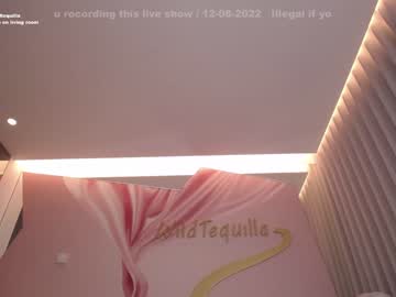 girl wildtequilla image #2408886