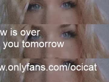 girl ocicat image #3592824